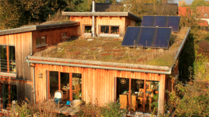 flachdachbegruenung
